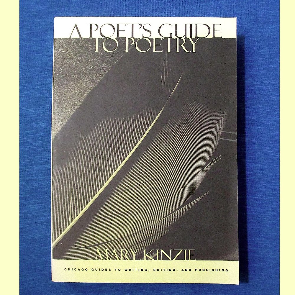 Book: A Poet's Guide to Poetry, by Mary Kinzie